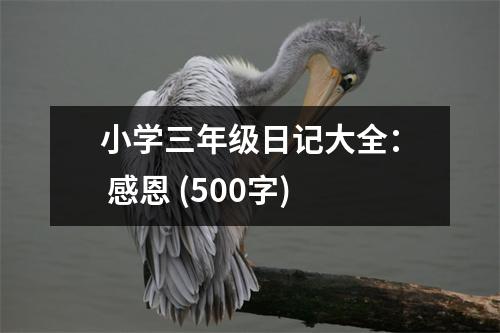 小學(xué)三年級日記大全： 感恩 (500字)