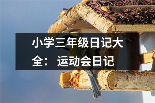 小學(xué)三年級日記大全： 運動會日記