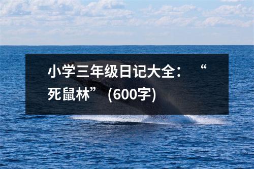 小學三年級日記大全： “死鼠林” (600字)