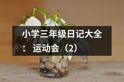 小學(xué)三年級(jí)日記大全： 運(yùn)動(dòng)會(huì)（2）