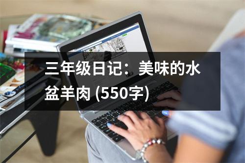 三年級日記：美味的水盆羊肉 (550字)