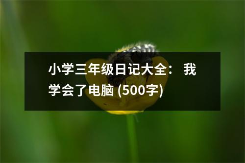 小學(xué)三年級日記大全： 我學(xué)會了電腦 (500字)