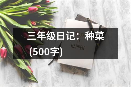 三年級日記：種菜 (500字)