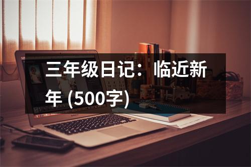三年級日記：臨近新年 (500字)