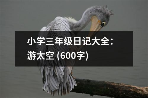 小學(xué)三年級(jí)日記大全： 游太空 (600字)