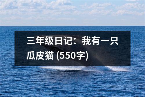 三年級(jí)日記：我有一只瓜皮貓 (550字)