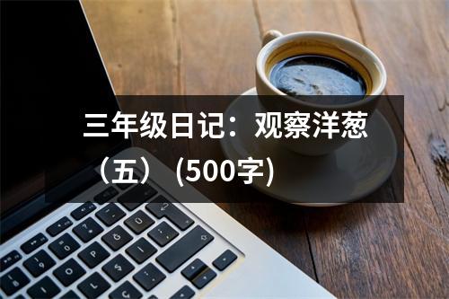 三年級日記：觀察洋蔥（五） (500字)