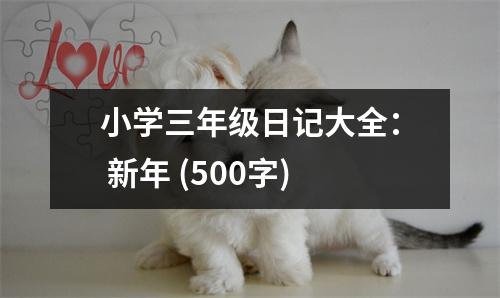 小學(xué)三年級日記大全： 新年 (500字)