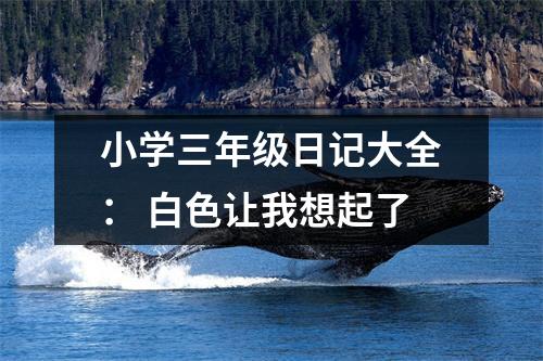 小學三年級日記大全： 白色讓我想起了