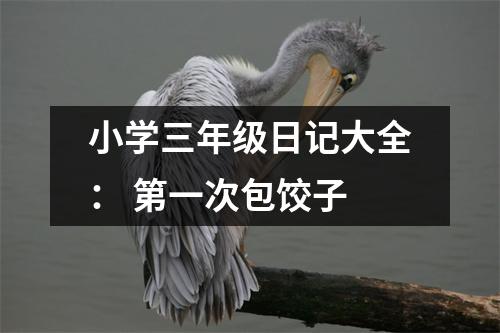 小學(xué)三年級(jí)日記大全： 第一次包餃子