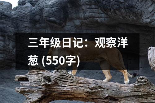 三年級日記：觀察洋蔥 (550字)
