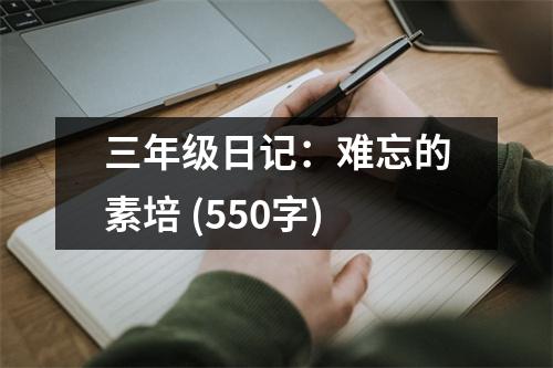 三年級日記：難忘的素培 (550字)