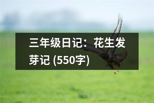 三年級日記：花生發(fā)芽記 (550字)