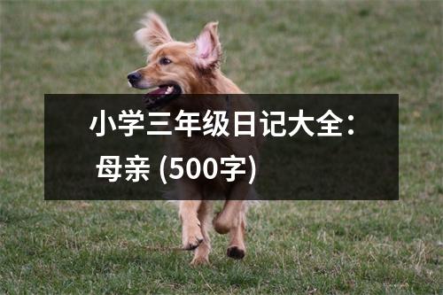 小學(xué)三年級日記大全： 母親 (500字)