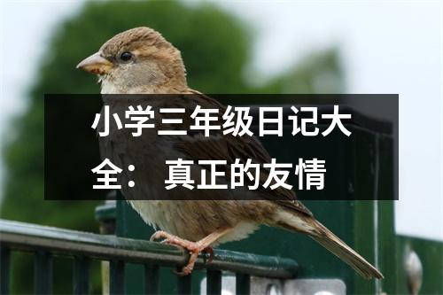 小學(xué)三年級(jí)日記大全： 真正的友情