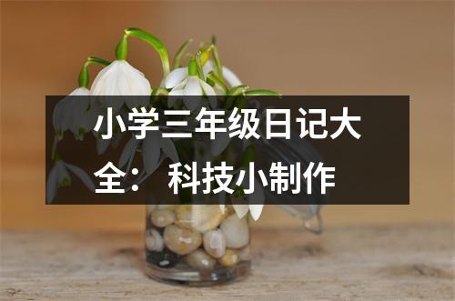 小學三年級日記大全： 科技小制作