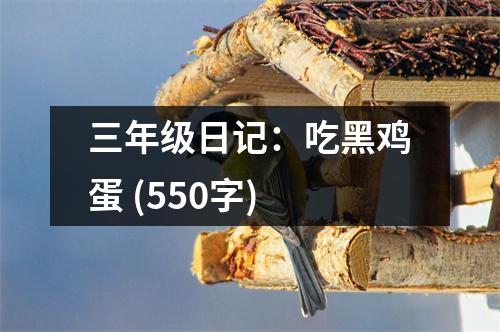 三年級日記：吃黑雞蛋 (550字)