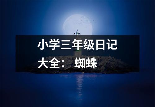 小學(xué)三年級(jí)日記大全： 蜘蛛