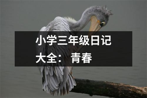 小學(xué)三年級(jí)日記大全： 青春