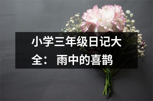 小學三年級日記大全： 雨中的喜鵲