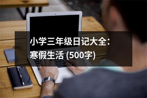 小學(xué)三年級日記大全： 寒假生活 (500字)