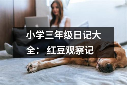 小學(xué)三年級日記大全： 紅豆觀察記