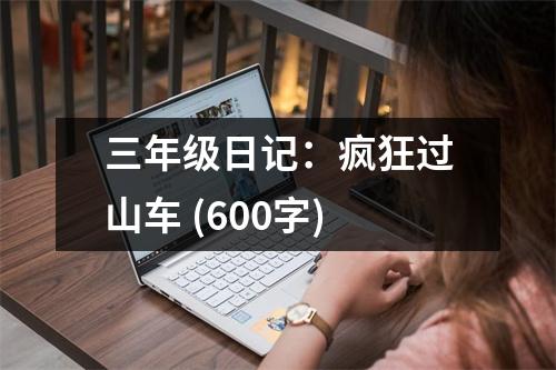 三年級日記：瘋狂過山車 (600字)