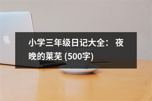 小學三年級日記大全： 夜晚的萊蕪 (500字)