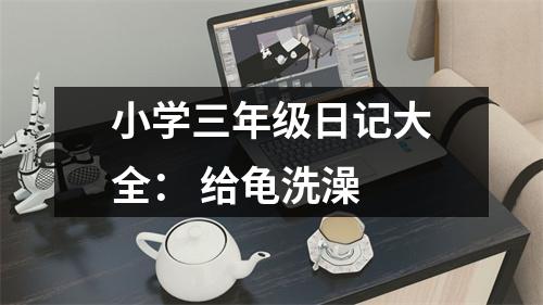 小學(xué)三年級日記大全： 給龜洗澡