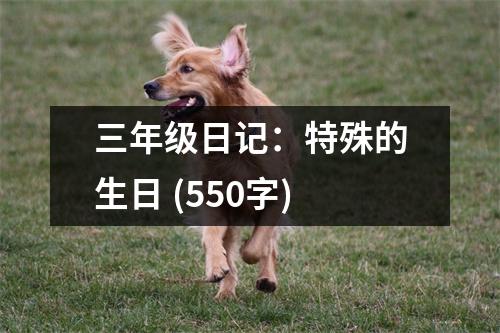 三年級日記：特殊的生日 (550字)