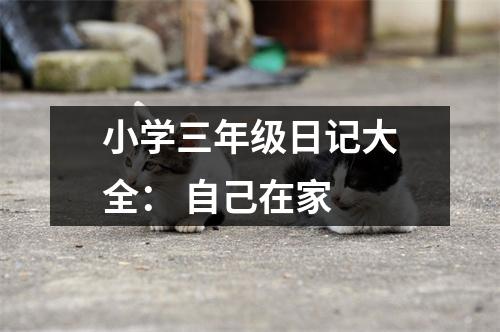 小學(xué)三年級(jí)日記大全： 自己在家