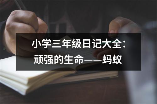 小學三年級日記大全： 頑強的生命——螞蟻