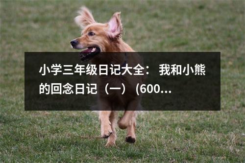 小學三年級日記大全： 我和小熊的回念日記（一） (600字)
