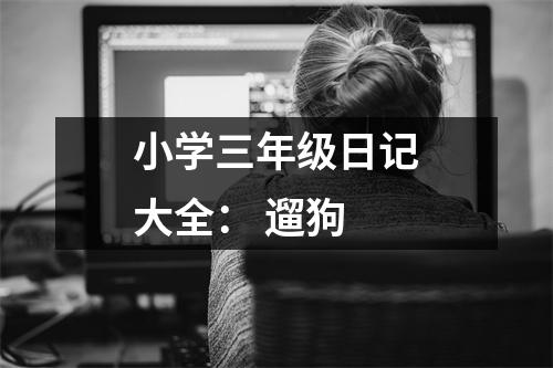 小學(xué)三年級(jí)日記大全： 遛狗