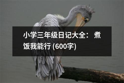 小學(xué)三年級(jí)日記大全： 煮飯我能行 (600字)