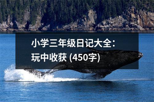 小學(xué)三年級(jí)日記大全： 玩中收獲 (450字)