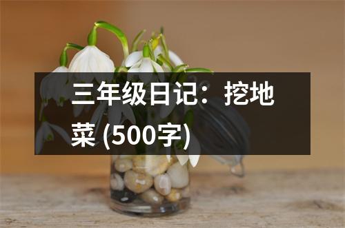 三年級日記：挖地菜 (500字)