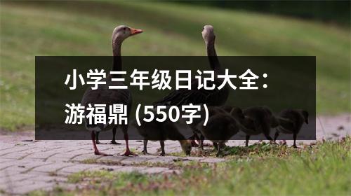 小學(xué)三年級(jí)日記大全： 游福鼎 (550字)