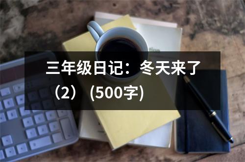 三年級(jí)日記：冬天來(lái)了（2） (500字)
