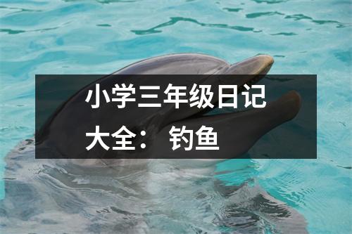 小學(xué)三年級(jí)日記大全： 釣魚