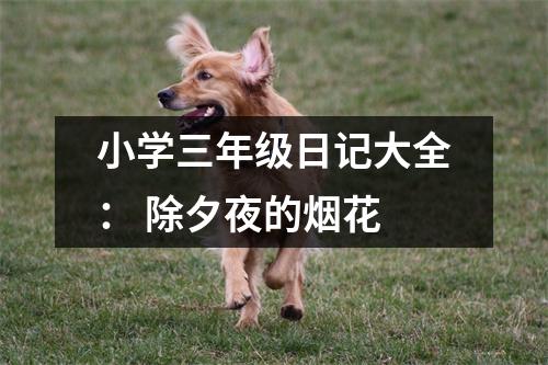 小學(xué)三年級(jí)日記大全： 除夕夜的煙花