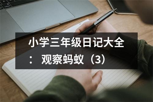 小學(xué)三年級日記大全： 觀察螞蟻（3）