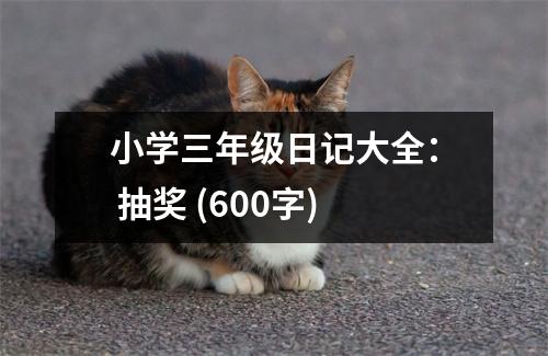 小學三年級日記大全： 抽獎 (600字)