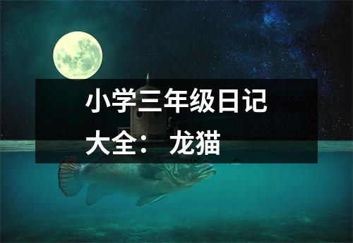 小學(xué)三年級(jí)日記大全： 龍貓