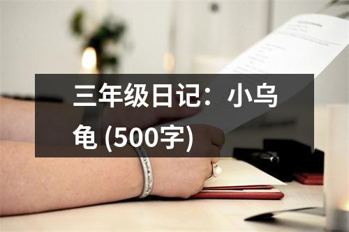 三年級日記：小烏龜 (500字)