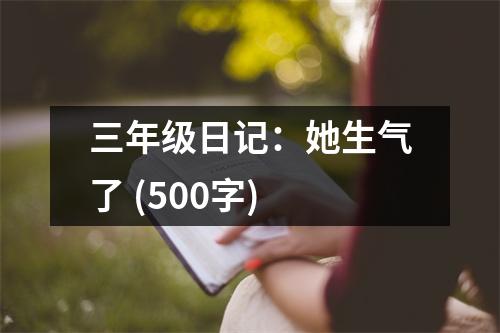 三年級日記：她生氣了 (500字)