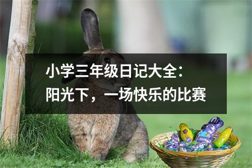 小學三年級日記大全： 陽光下，一場快樂的比賽