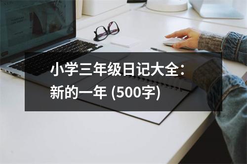 小學(xué)三年級(jí)日記大全： 新的一年 (500字)