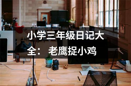 小學(xué)三年級(jí)日記大全： 老鷹捉小雞