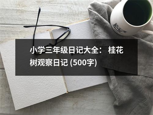 小學(xué)三年級(jí)日記大全： 桂花樹觀察日記 (500字)